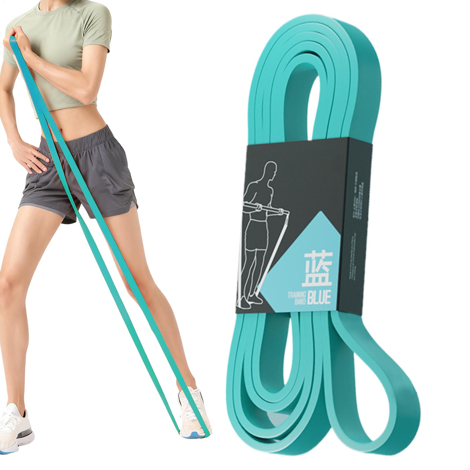 Pita Resistensi Latihan Elasti - Milanaise Mesh Band ulasan dan harga